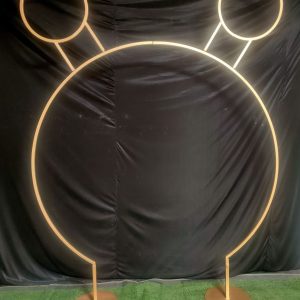 MICKEY MOUSE ARCH